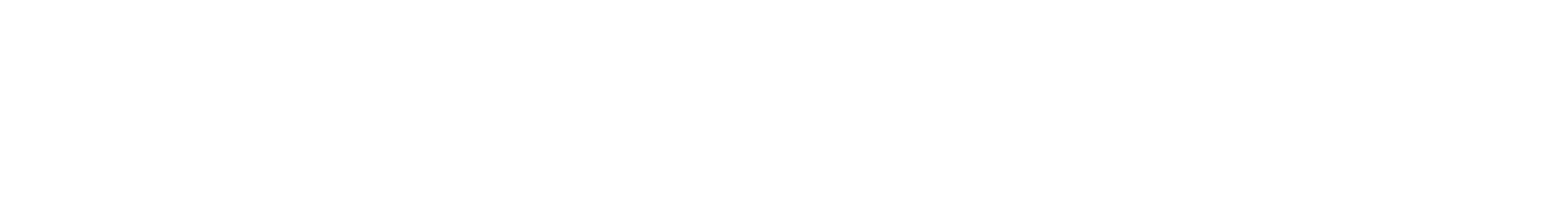 German AI Association - KI Bundesverband